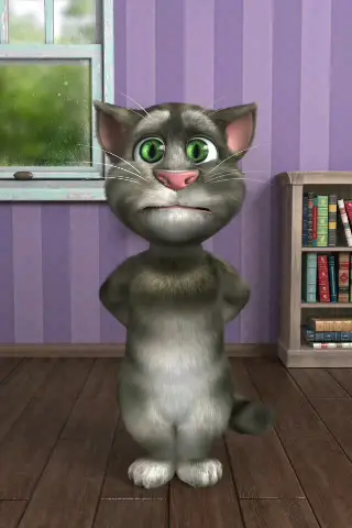Dr. Oulebsir