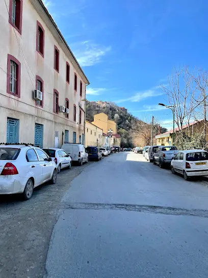 Hôpital Ain El Hammam Chahid Ahmed Ali Amar dit Si Amar At Mahmud