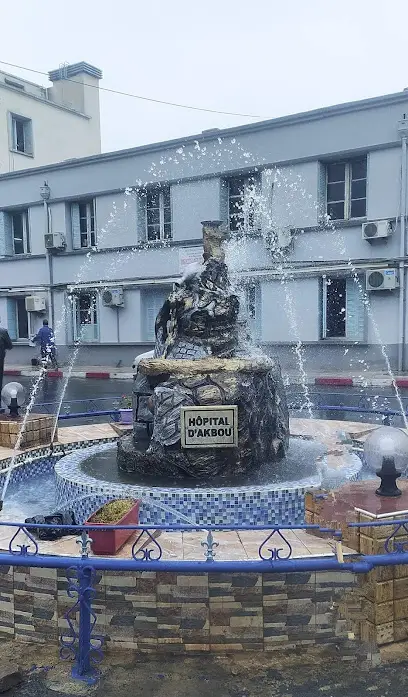 Établissement Hospitalier D'Akbou